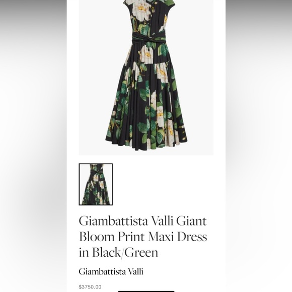 Giambattista Valli Giant Floral Bloom Maxi Dress Black Green IT 40 Designer NWOT - Picture 14 of 14